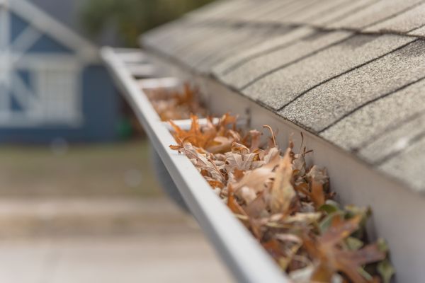 Leaf Barrier Installation in Odessa